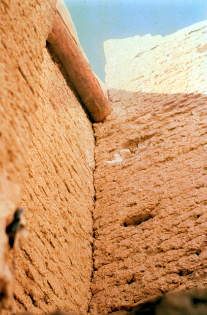 Detail of mudbrick with palm-trunk support