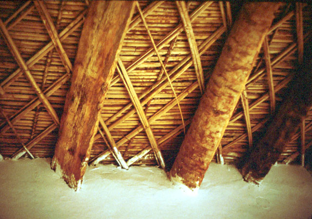 Detail of ceiling construction of palm logs and reeds