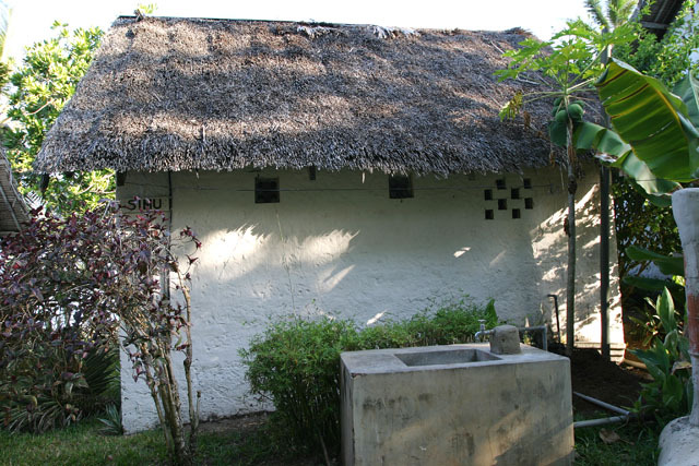 Exterior view of cottage with thatched roof and concrete outdoor sink