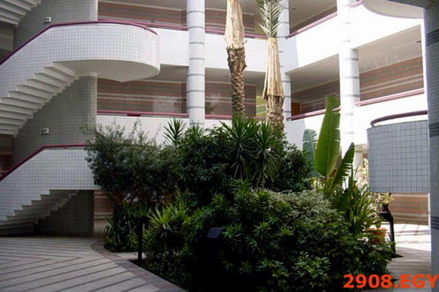 Courtyard with plants and staircases