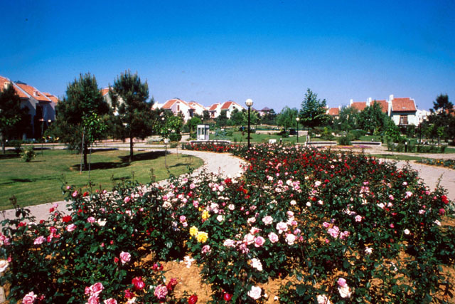 Exterior view of planted boulevard through development