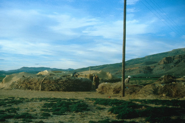 Exterior view showing landscape
