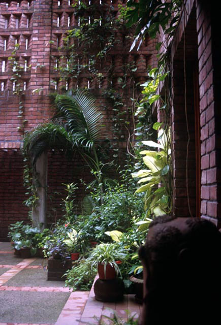 Inner courtyard, plants