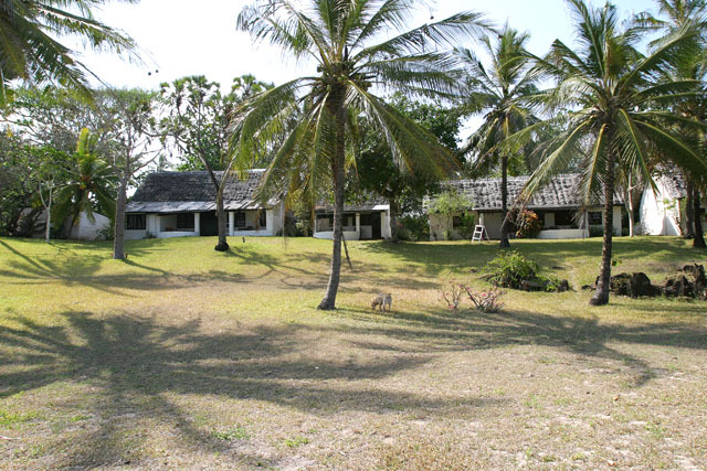 General view of cottages among palm trees