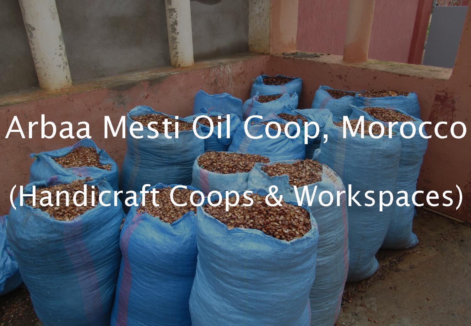 Arbaa Mesti Argan Oil Cooperative (Handicraft Cooperatives & Workspaces Collection)