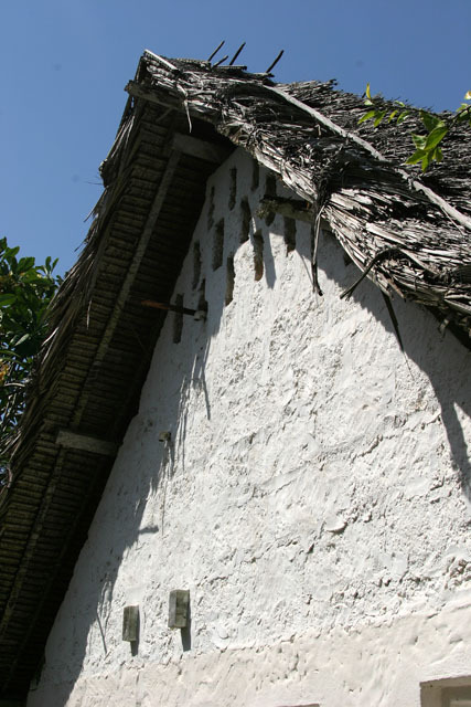 Exterior detail; thatched roof and roof ventilation slits