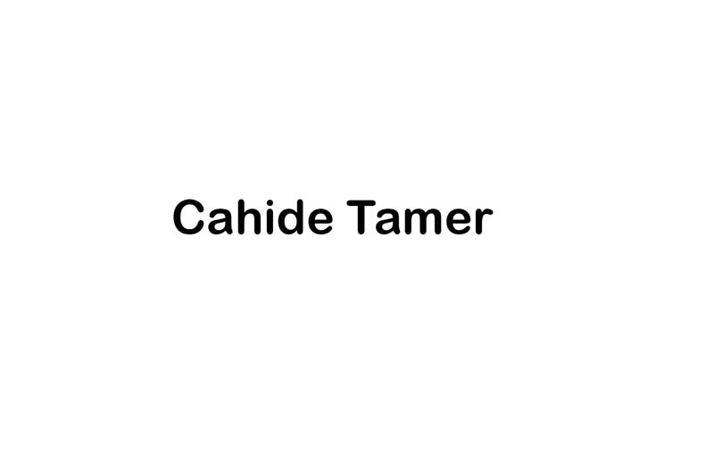 Cahide Tamer