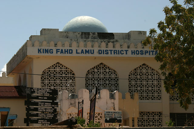 Exterior view of hospital façade showing dome and  arabesque detailing in pointed arch openings