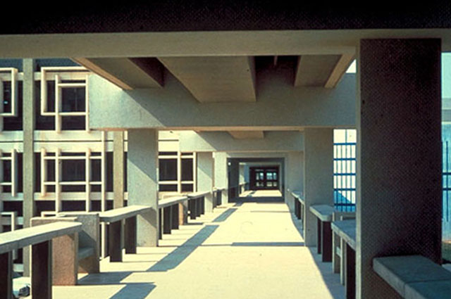 Garyounis University - View along the corridor