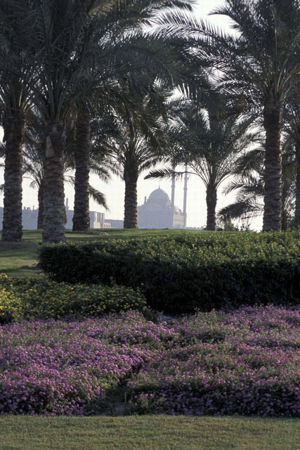 Al-Azhar Park - Purple flowers and hedges in park. Muhammad Ali Mosque (Citadel) appears in the background