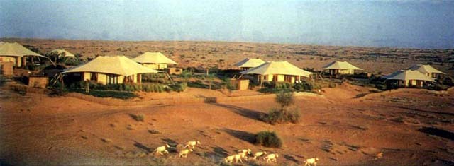 General view, tent-roofed suites in oasis