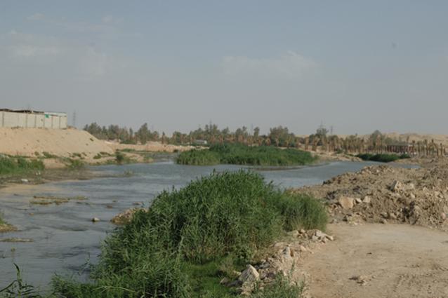 View of the Wadi Hanifa Wetlands