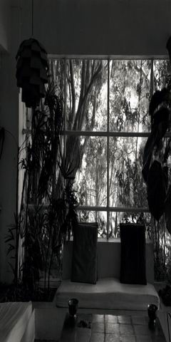 View from interior through glazing to garden