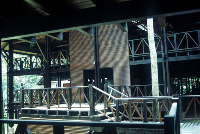 View of the wood screen and raftered roof in the dining hall