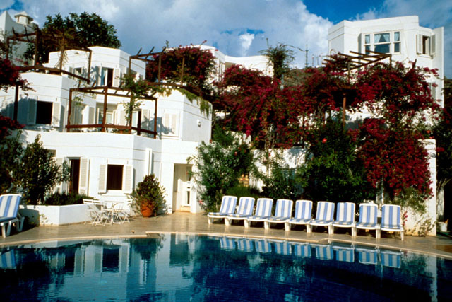 Exterior view showing lushly painted poolside