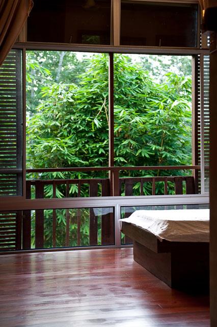 Ambi House - The lush green view out of each bedroom