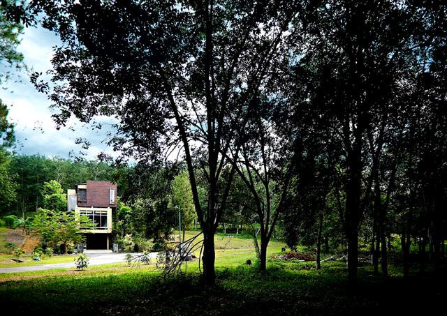 Ambi House - Distant view of the house amongst the forest trees