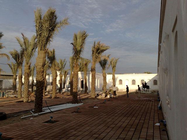 The palm garden of the museum under construction