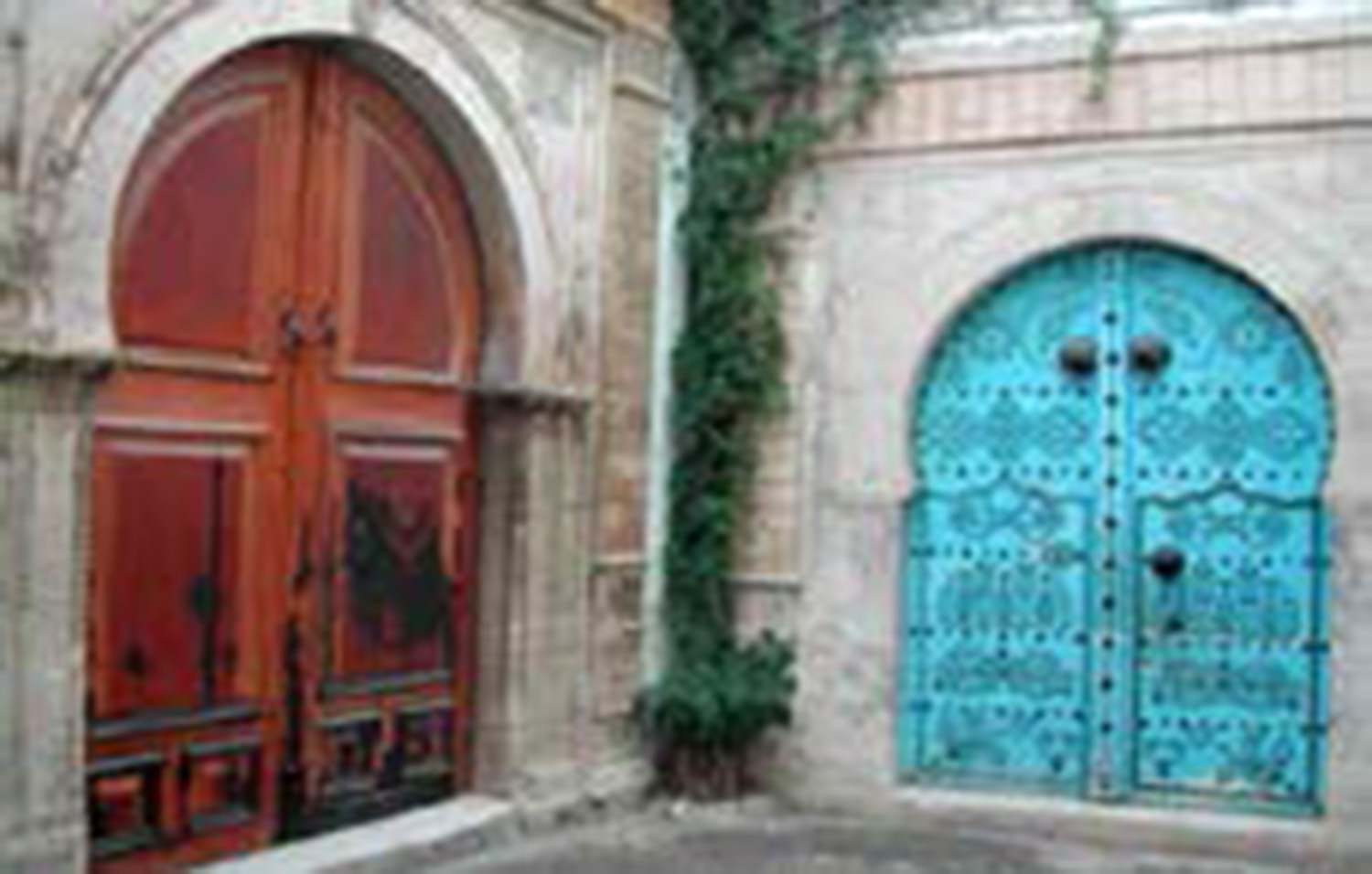 Main doors entrance of Dar-Bayrem and Dar-Mamoghly (2007)