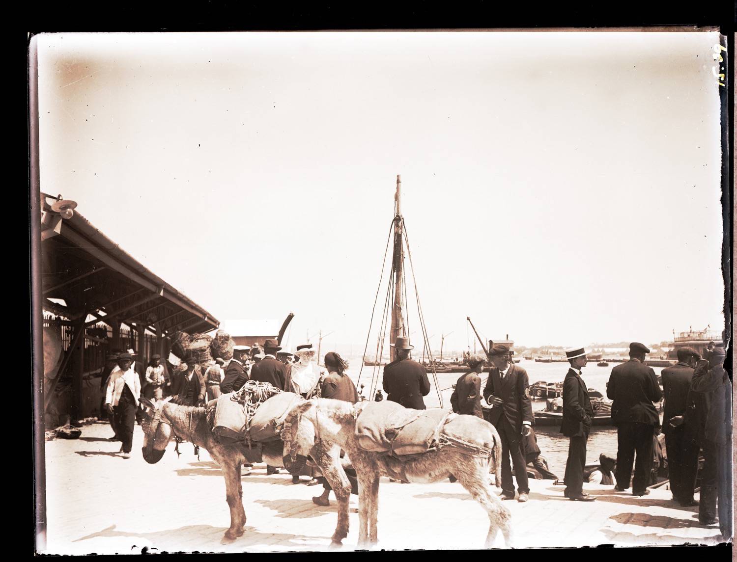 View of people and donkeys standing on the mole of Gibraltar
