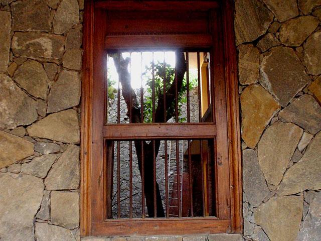 Entrance window