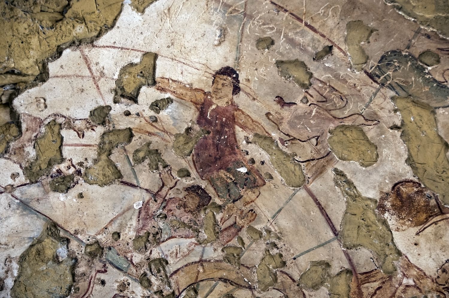 Caldarium, dome: detail view of fresco depicting constellations.