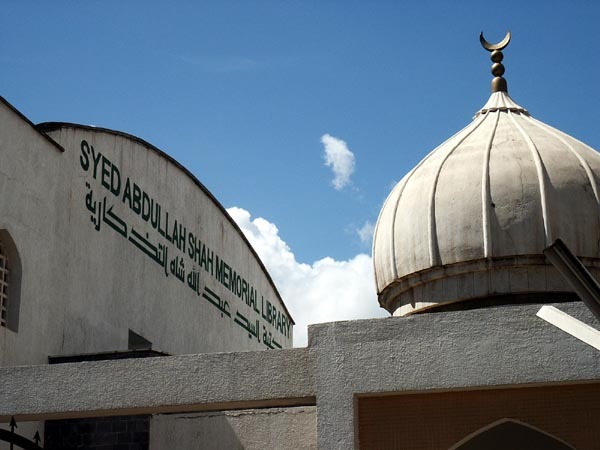 View of dome and side wall of Syed Abdullah Shah Memorial Library