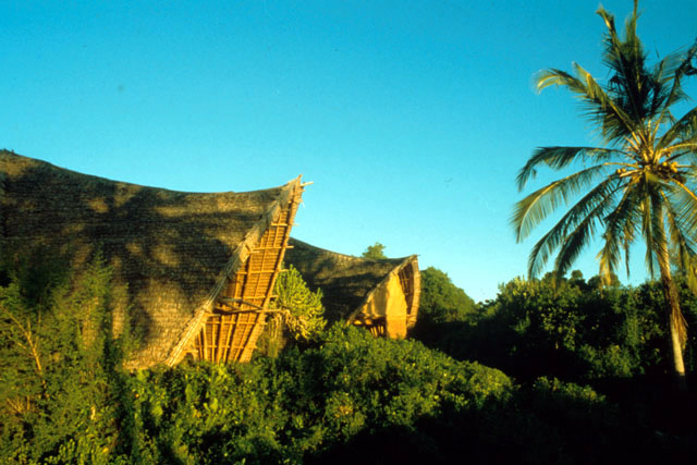 Chumbe Island Coral Park - Roof forms of the bandas which house the guest suites