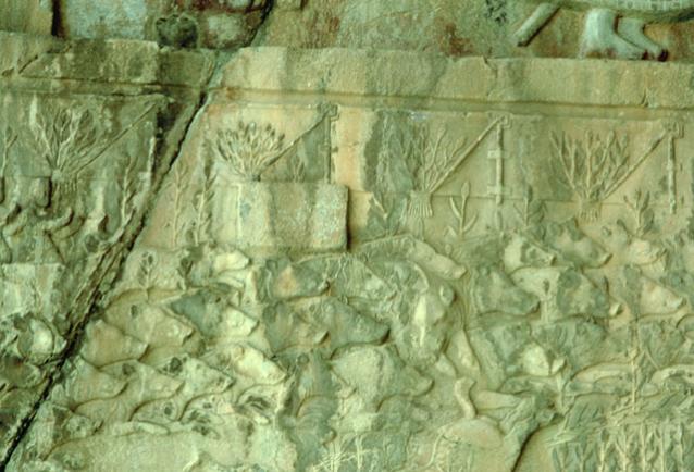Equestrian Group: Detail view of the left relief panel depicting royal boar hunting