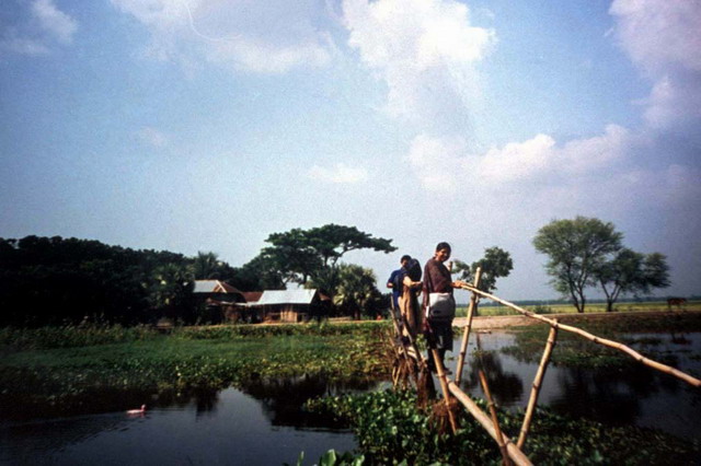 Participatory Action Research Project - Bamboo bridge over waterbody, low lying fields around village