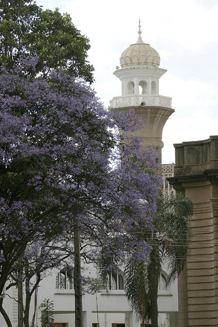 View of minaret behind jaracanda tree