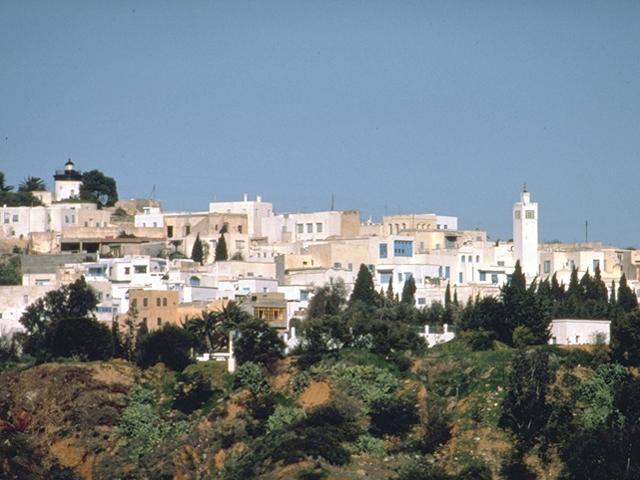 Sidi Bou Said Conservation - <p>View of the village</p>