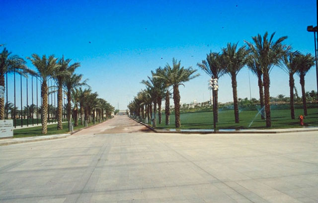 Entrance, showing landscaping with palms