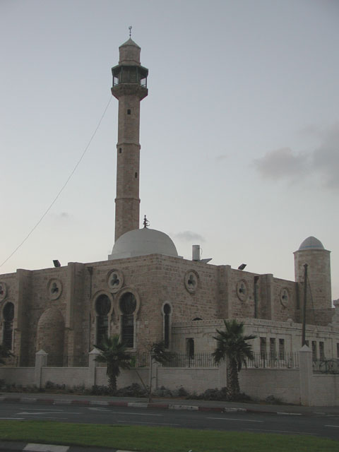 General view from southeast with low and high minarets