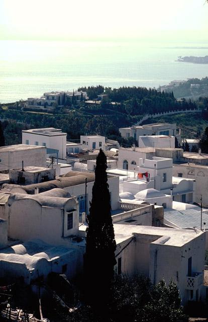 <p>View south over rooftops toward the Gulf of Tunis</p>