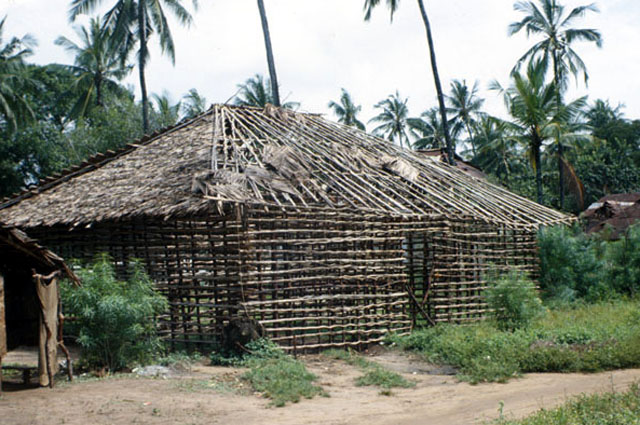Bamboo house structure