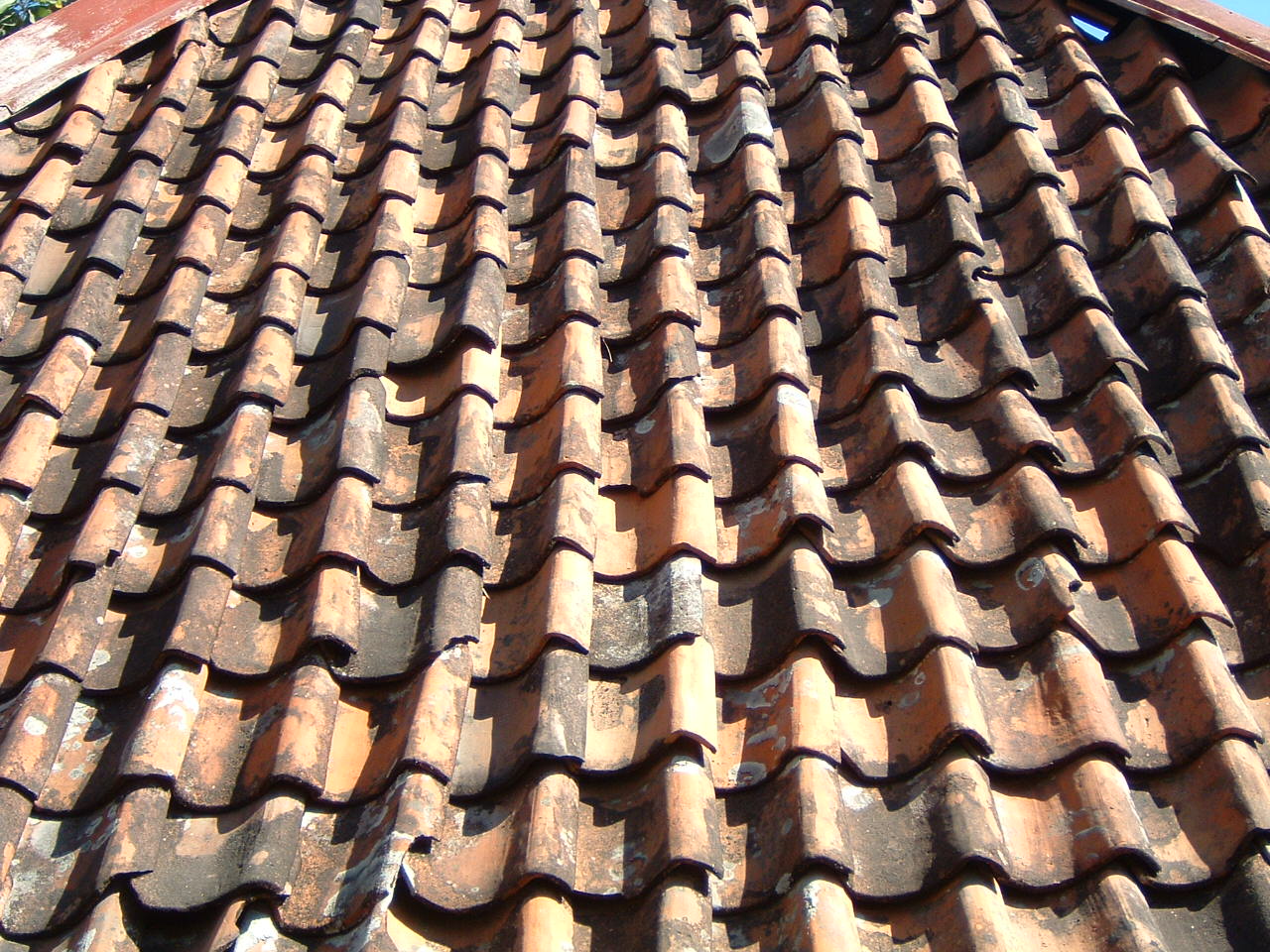 Detail view of tiled roof covering women's pool