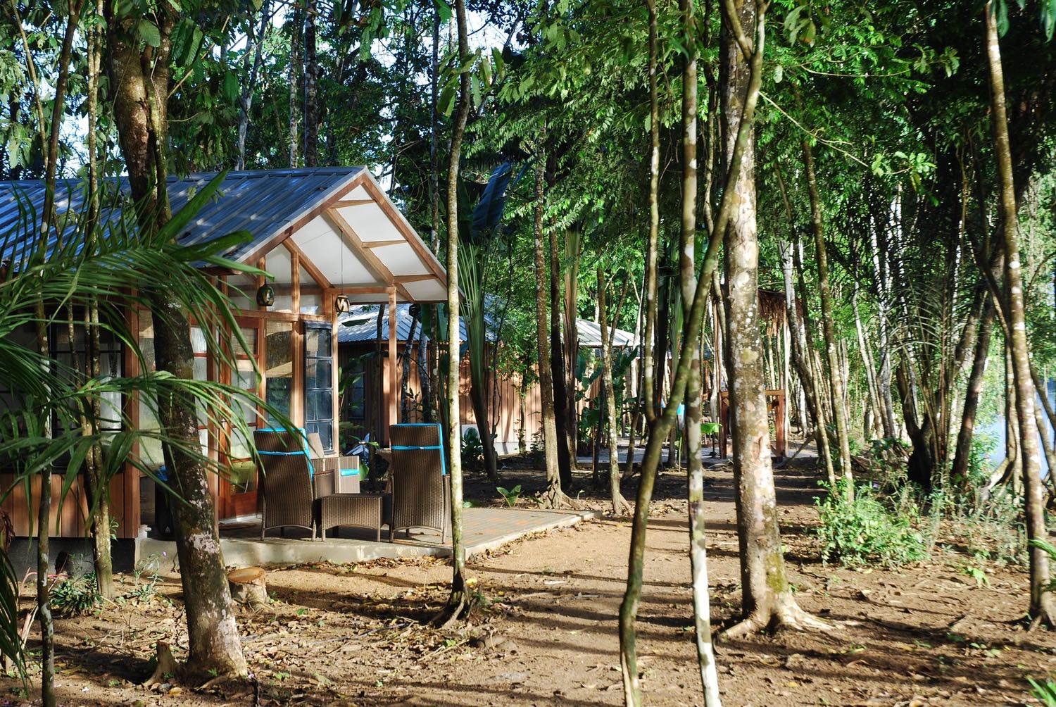 View of the lodges in the forest