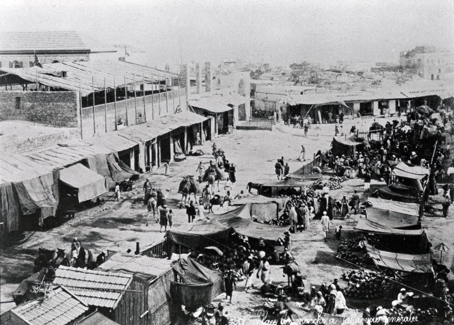 Historical views. Farmer's market