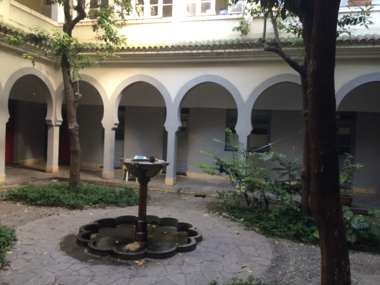 View of the courtyard fountain and vegetation