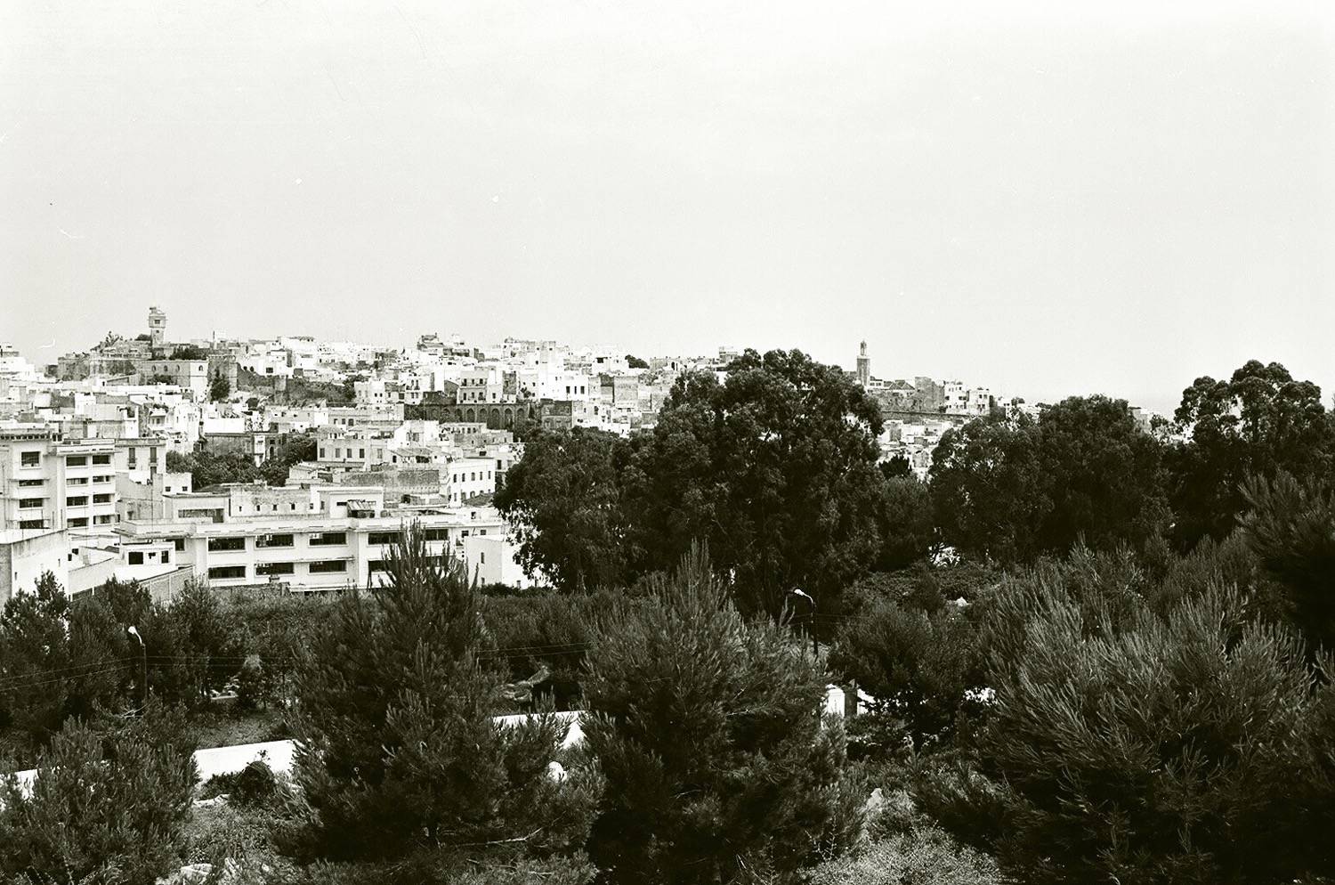 General view of the city from the cemetery toward the Casbah