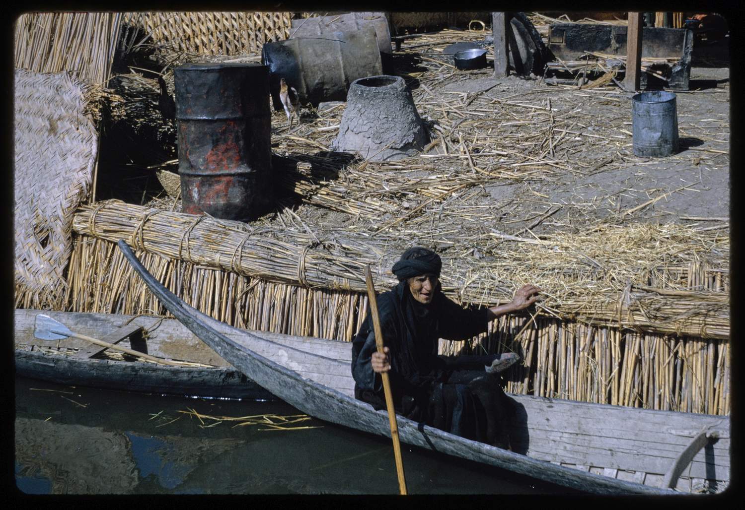 <p>Woman in a boat on the marshes of Iraq.</p>