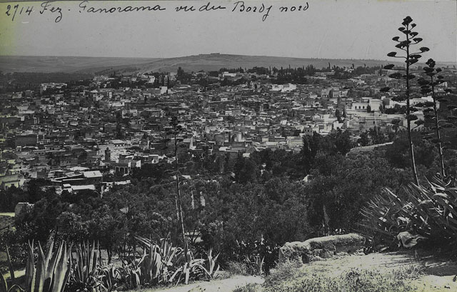 Fez, general view from the North Tower (burj) / "Fez, Panorama vue du Bordj nord"