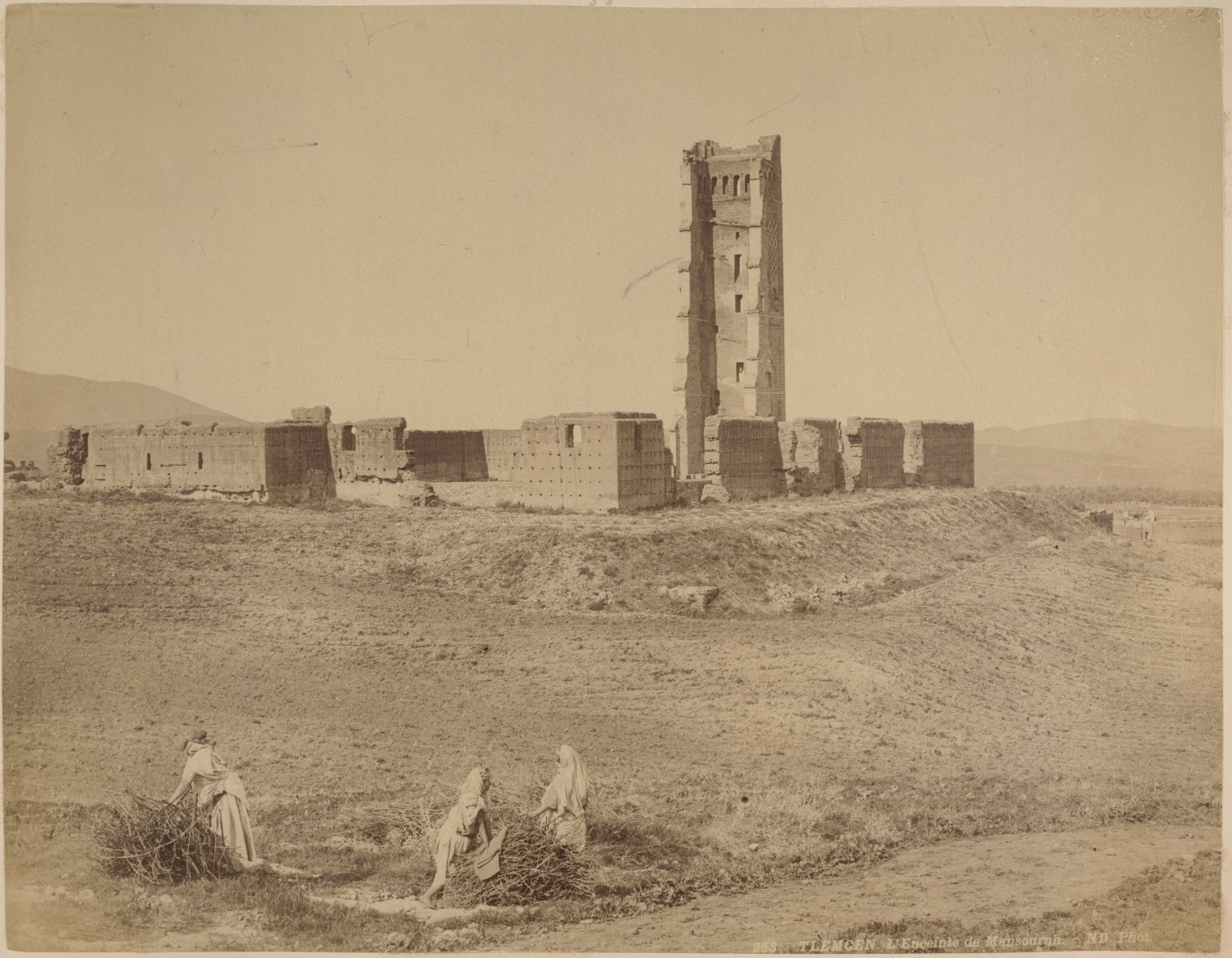 View past women gathering firewood to the ruins of Mansourah