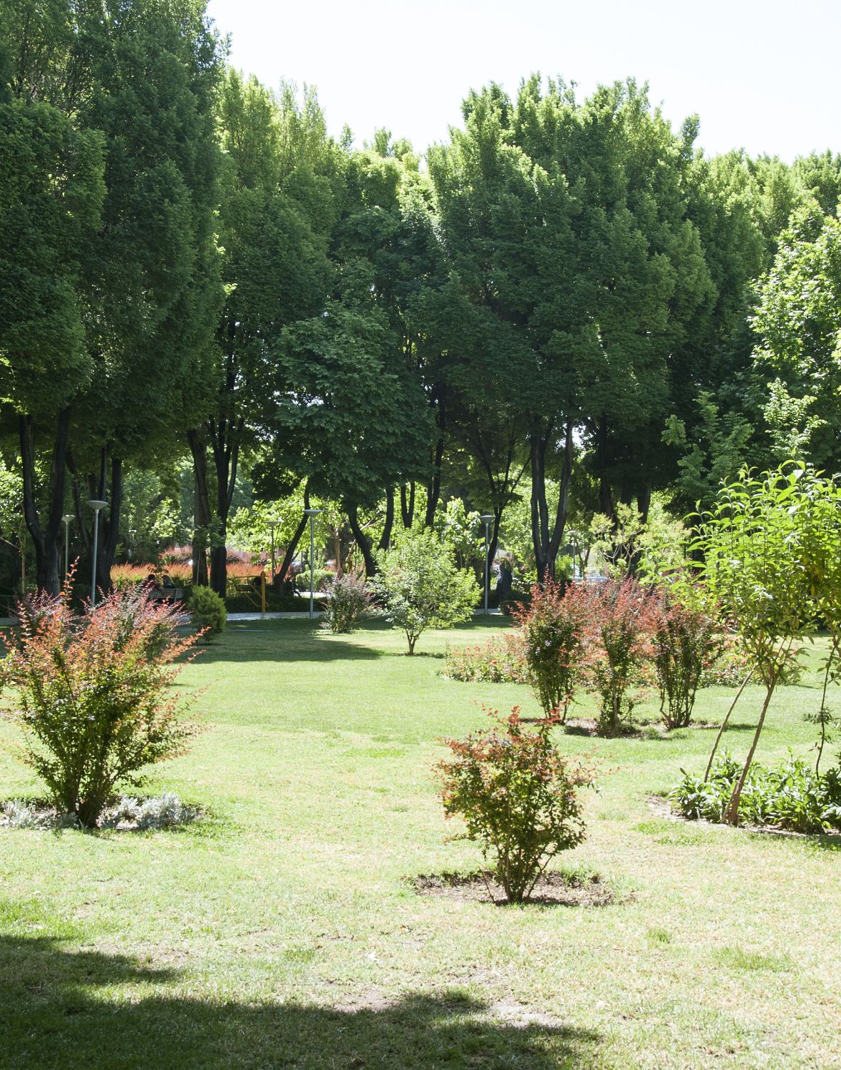 View of gardens.