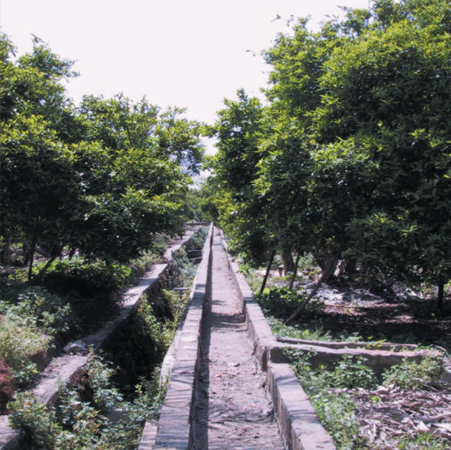Landscape with irrigation system