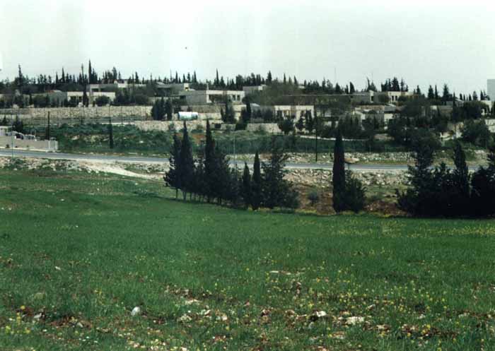 General view to the site