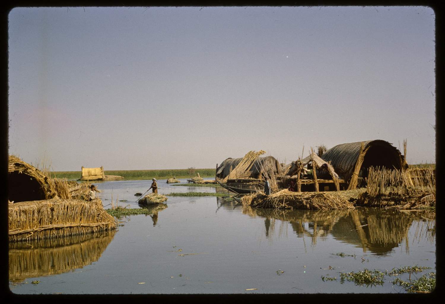 <p>On the marshes of Iraq.</p>
