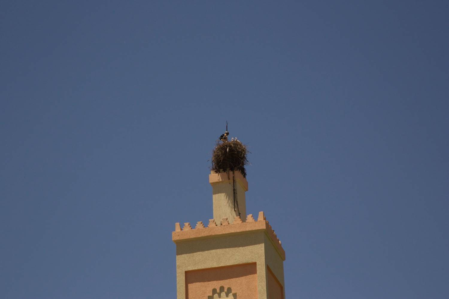 Close view of a storks' nest on the top of the minaret