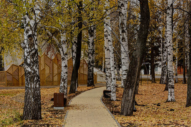 Leninsky Garden